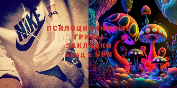 крисы Горно-Алтайск