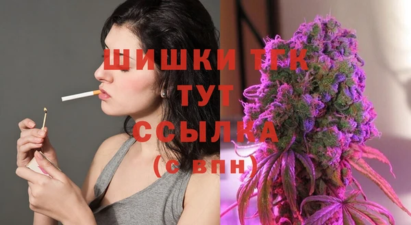 крисы Горно-Алтайск
