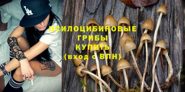 меф Горняк