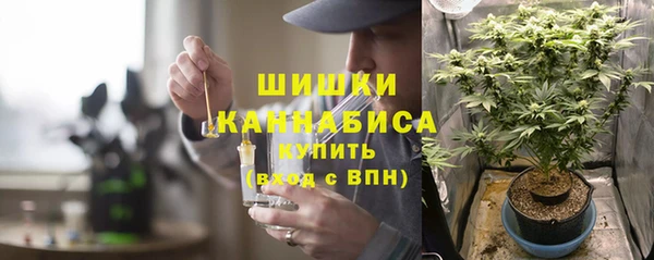 крисы Горно-Алтайск