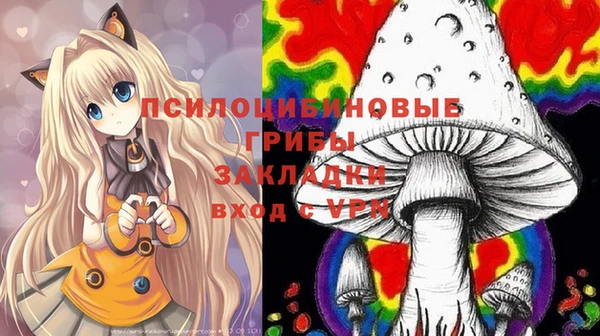крисы Горно-Алтайск