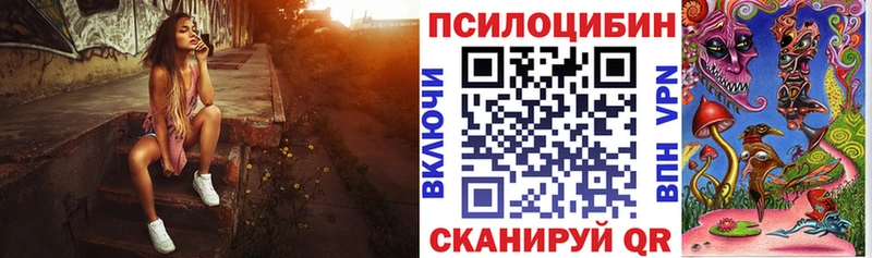 Псилоцибиновые грибы Psilocybine cubensis  Купить  Северск 